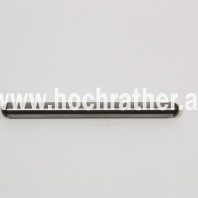 Sperrklinke Case 84301074