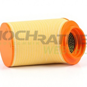Luftfilter Cf75 Daf