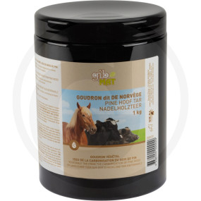 Kiefernholzteer 1 Kg, Karton A 12 Dosen Granit