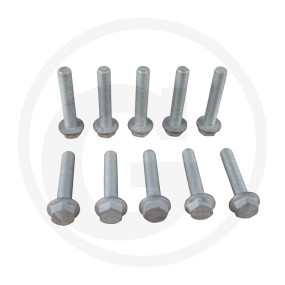 Schraubensatz (10Stück) M14X1 Granit 21810050