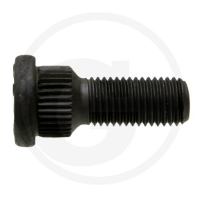 Radbolzen Granit 22022051