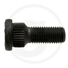 Radbolzen Granit 22022053