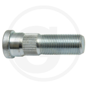 Radbolzen Granit 22022088