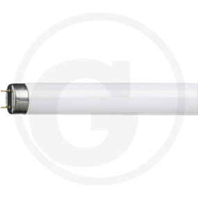 Philips Leuchtstofflampe Tl-D Granit