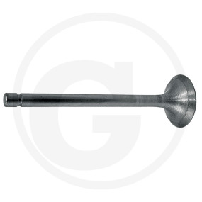 Einlassventil Granit 38001005