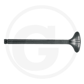 Einlassventil Granit 38002056