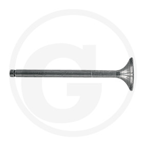 Auslassventil Granit 38002057