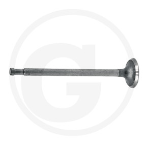 Einlassventil Granit 38002258