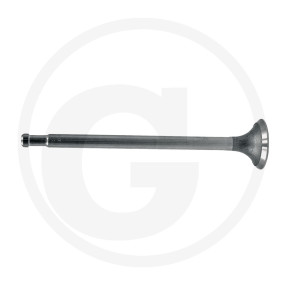 Auslassventil Granit 38002259