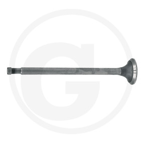 Auslassventil Granit 38002261