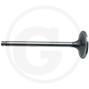 Einlassventil mit Keil Granit 38002846