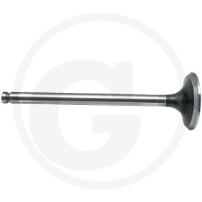 Auslassventil Granit 38002847