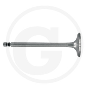 Vpe2 Einlassventil Granit 38004050