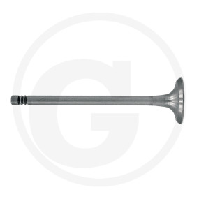 Vpe2 Auslassventil Granit 38004051