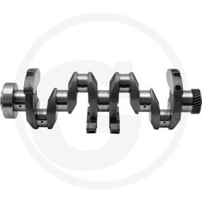 Kurbelwelle Granit 38004528