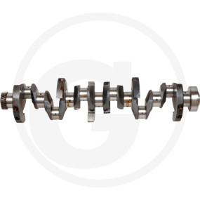 Kurbelwelle Granit 38004530