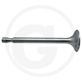 Einlassventil Granit 38004534