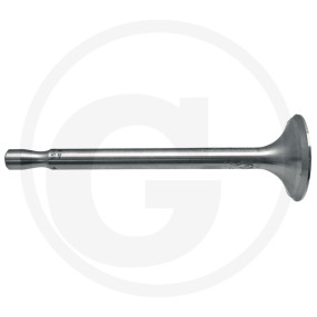 Auslassventil Granit 38004535