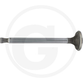 Einlassventil Granit 38004536