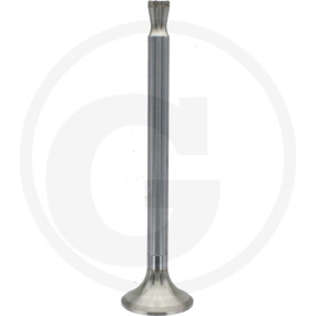 Auslassventil Granit 38004537