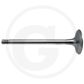 Einlassventil Granit 38004545