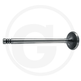 Auslassventil Granit 38004547