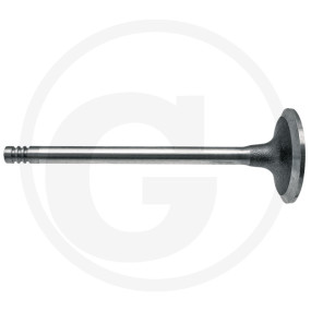 Einlassventil Granit 38004550
