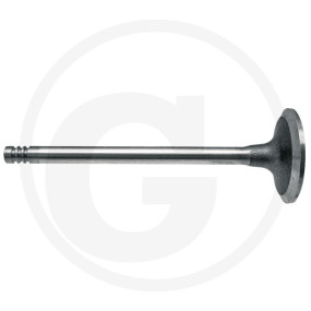 Auslassventil Granit 38004551