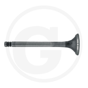 Vpe2 Auslassventil Granit 38006021