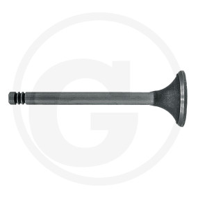 Vpe2 Einlassventil Granit 38006022