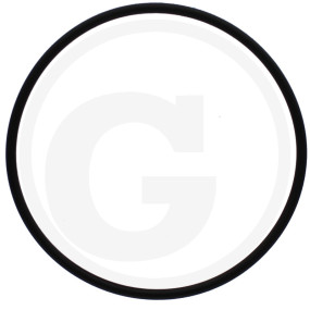 O-Ring Granit 38006023