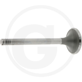 Vpe2 Auslassventil Granit 38006027