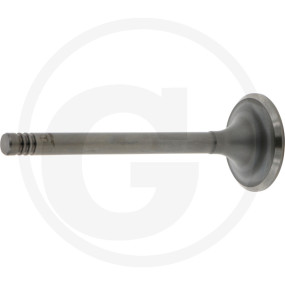 Vpe2 Einlassventil Granit 38006028