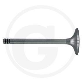 Auslassventil Granit 38006039