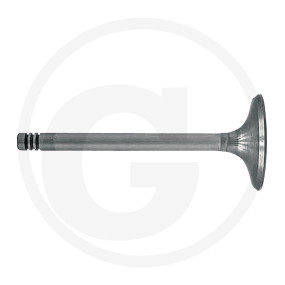 Vpe2 Einlassventil Granit 38006040