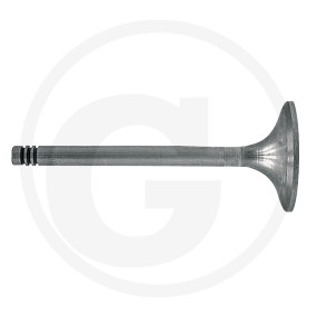 Auslassventil Granit 38006047