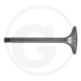 Einlassventil Granit 38006048
