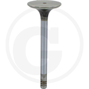 Vpe2 Auslassventil Granit 38006051