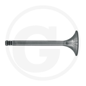 Einlassventil Granit 38006052