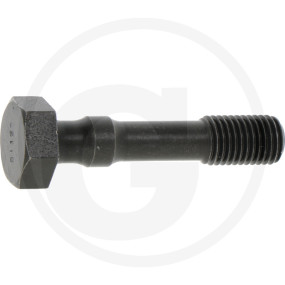 Pleülschraube Granit 38006348