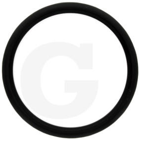O-Ring Granit 38006670
