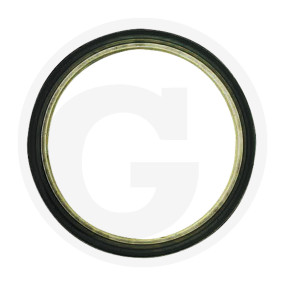 Dichtung Granit 38007076