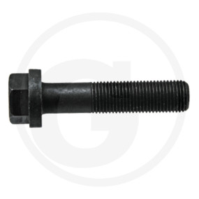 Schraube Granit 38007256