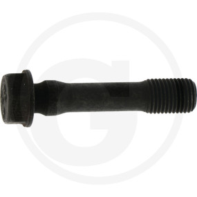 Schraube Granit 38007278