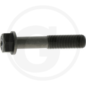 Pleuelschraube Granit 38012082