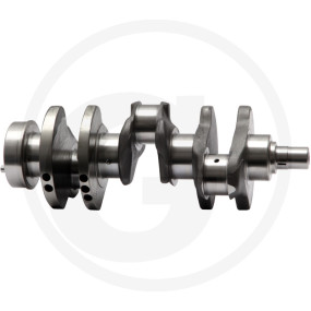 Kurbelwelle Granit 38012459