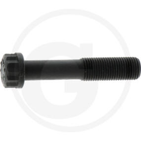 Pleuelschraube Granit 38012463