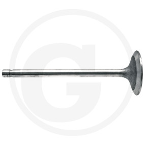 Einlassventil Granit 38012467