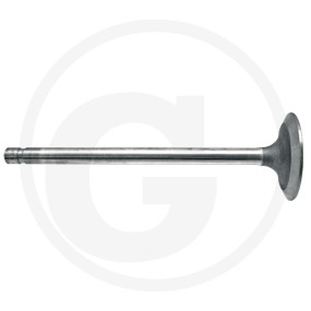 Auslassventil Granit 38012468