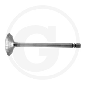 Einlassventil Granit 38012470